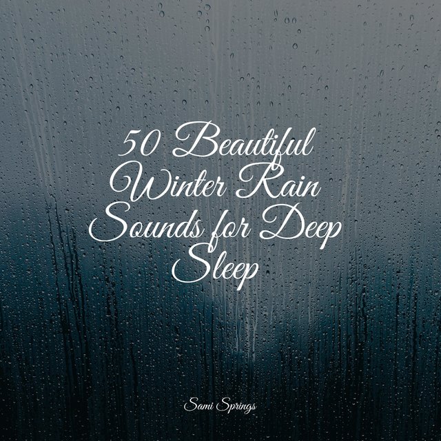 50 Beautiful Winter Rain Sounds for Deep Sleep by Naturaleza Sonidos on ...
