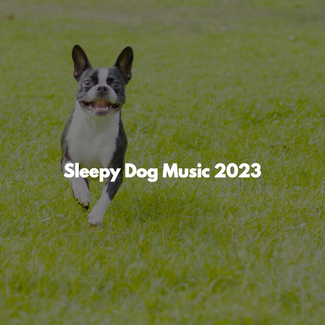 Sleepy Dog Music 2023