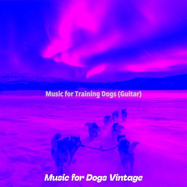 Music for Training Dogs (Guitar)