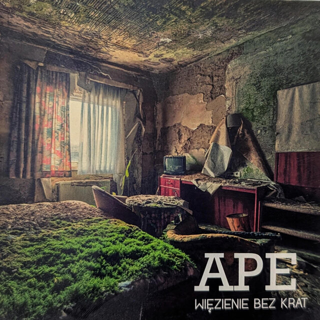 Więzienie bez krat