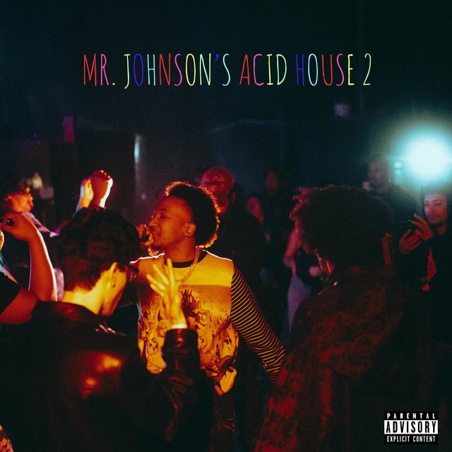 Mr. Johnson's Acid House 2