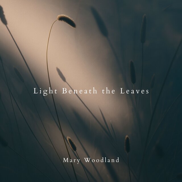 Light Beneath the Leaves