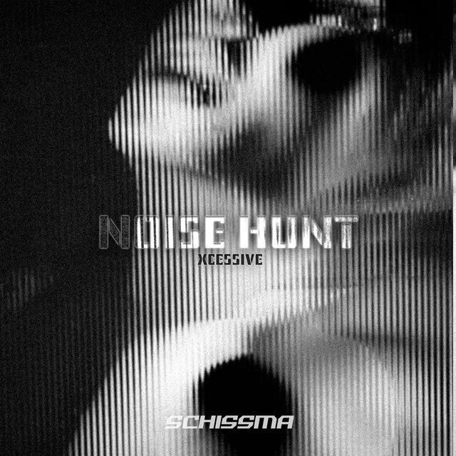 noise hunt