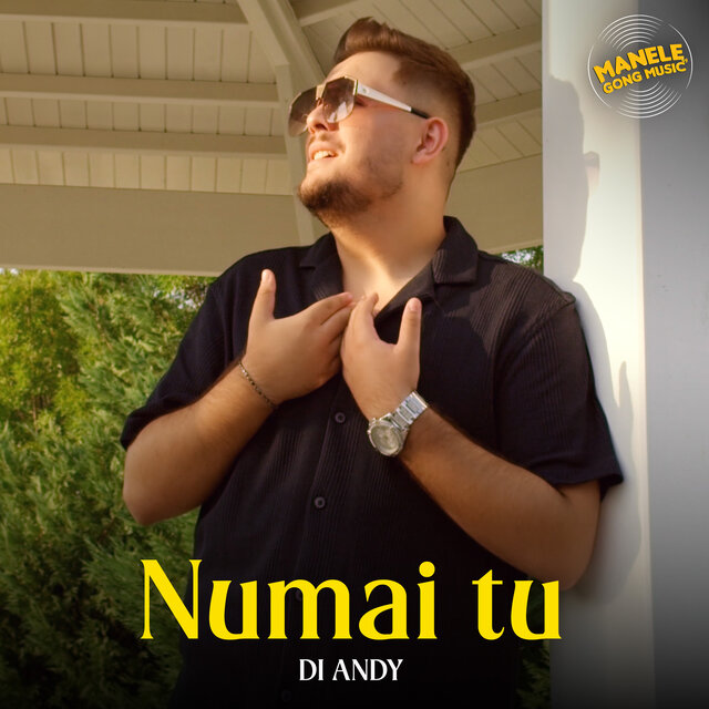 Numai tu