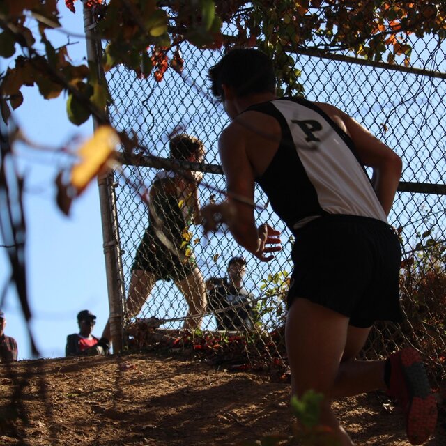 On the Starting Line
