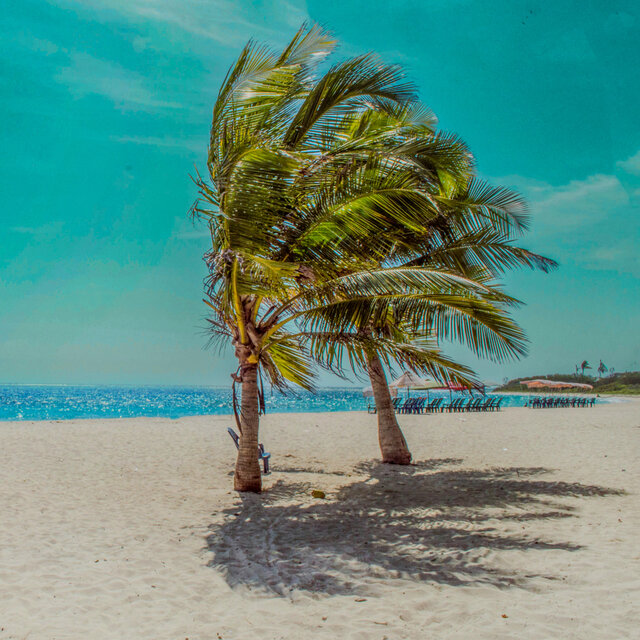 1 Ambient Coast: Tropical Treasures