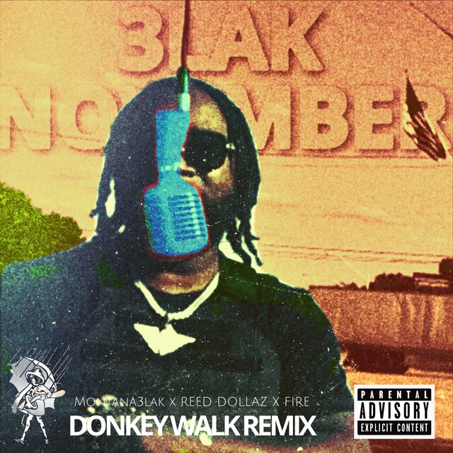 DONKEY WALK (REMIX)