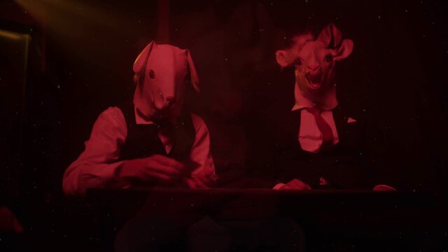 We are the Animals