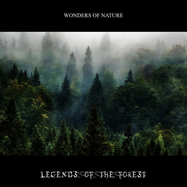 Legends of the Forest