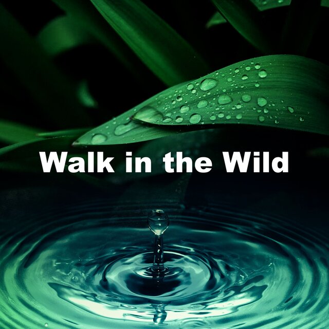 Walk in the Wild