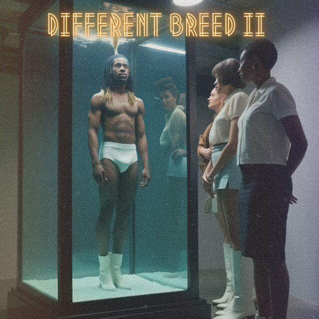 DIFFERENT BREED II