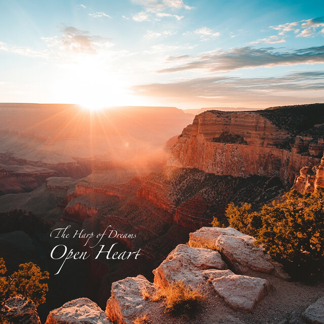 Open Heart