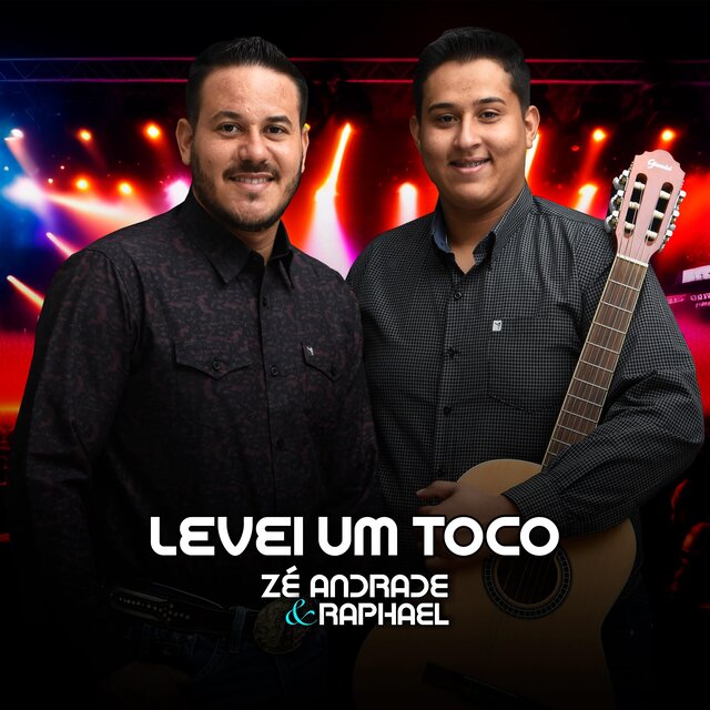 Levei um toco