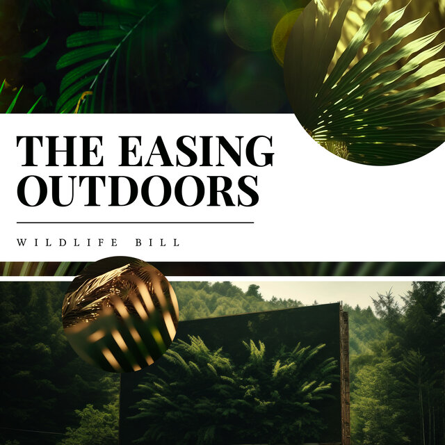 The Easing Outdoors