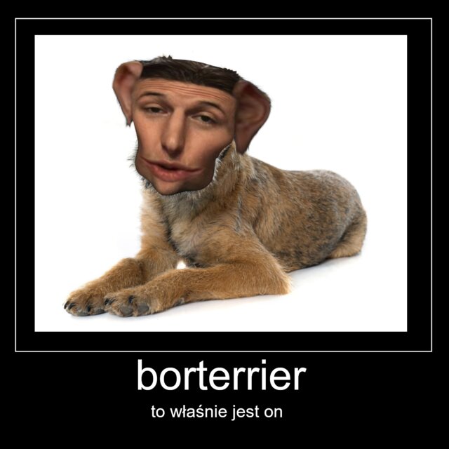 BORterrier (Lubin Diss 2)