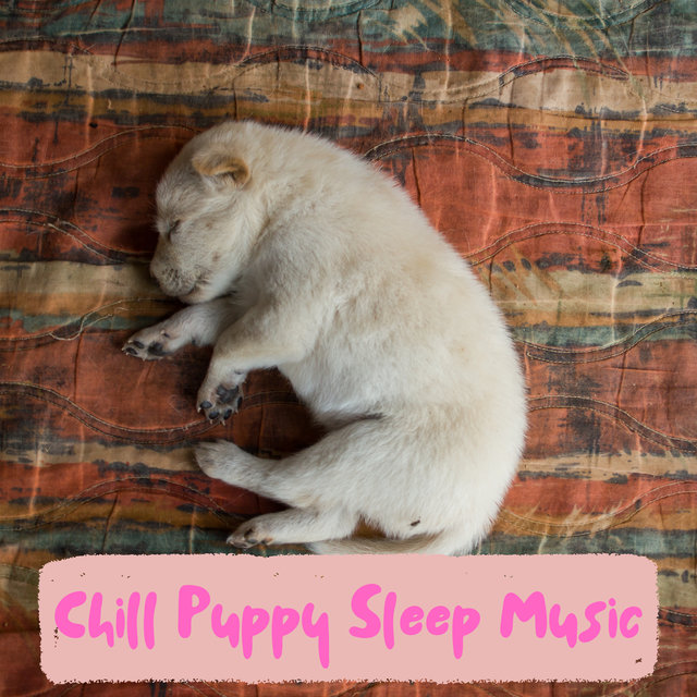 Puppy Sleep Music For Undisturbed Sleep