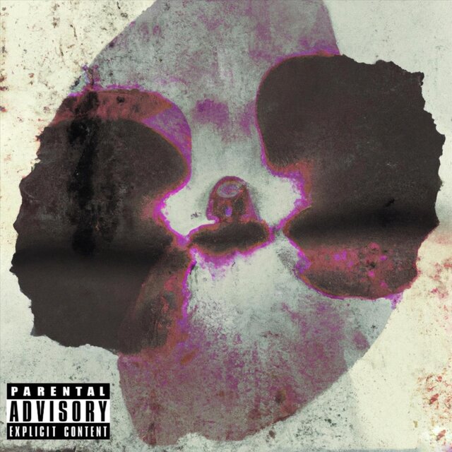 Wrath of the Wallflower