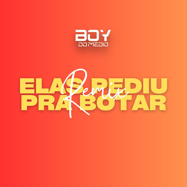 Elas Pediu pra Botar (Remix)