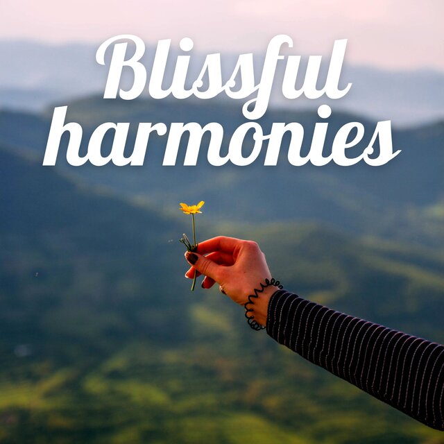 Blissful harmonies
