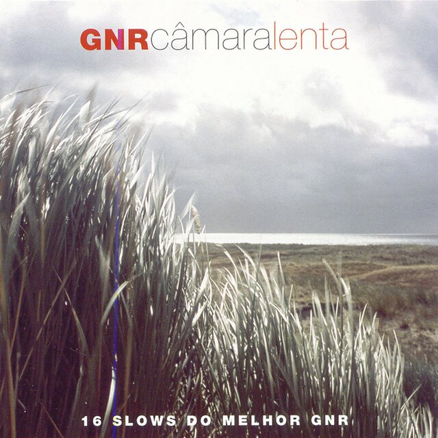 Câmara Lenta: 16 Slows Do Melhor GNR