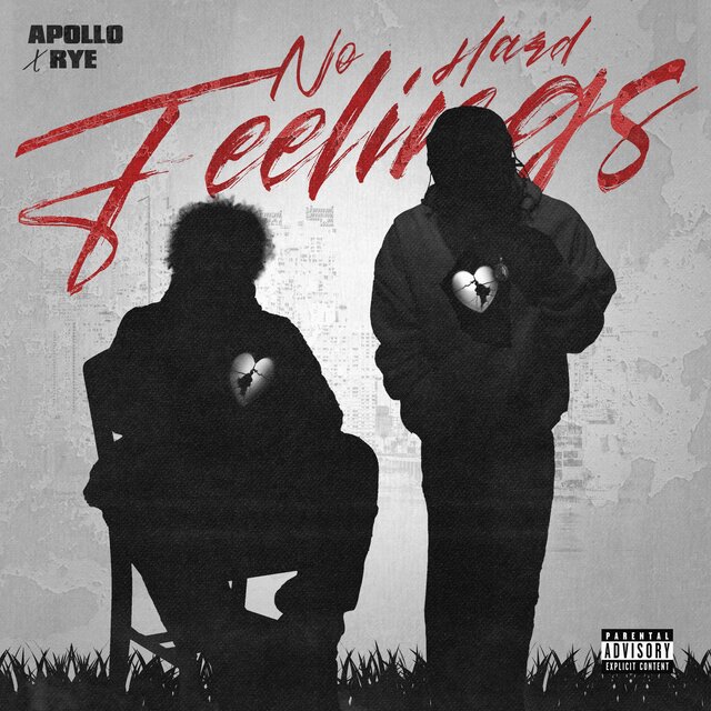 No Hard Feelings