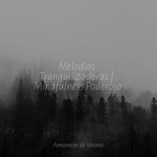 Melodías Tranquilizadoras | Mindfulness Poderoso