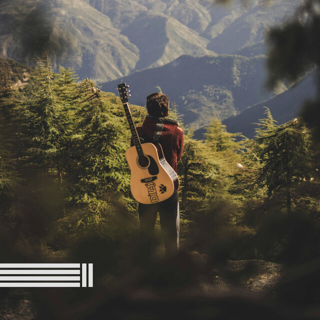 Guitarra Relajante Y Sonidos Del Bosque