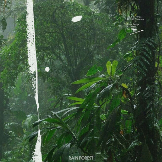 Rain Forest