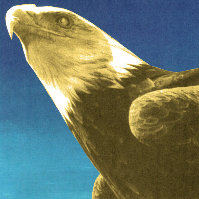 Cover art for album Hotel Usona by Protomartyr