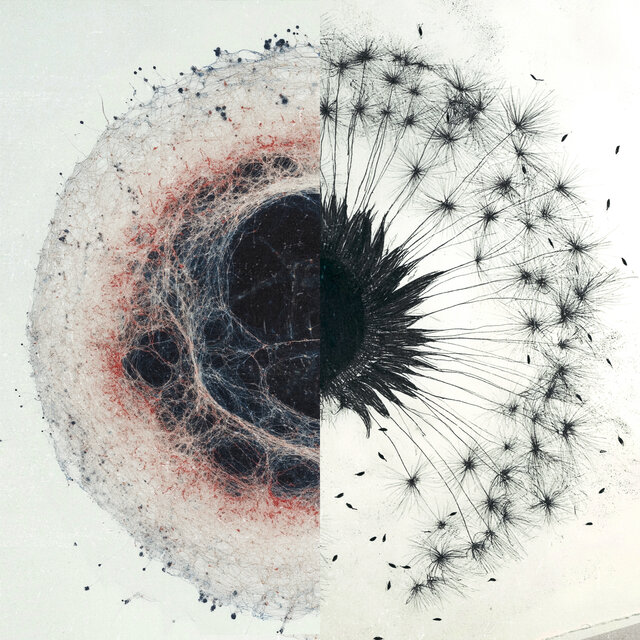 dandelions