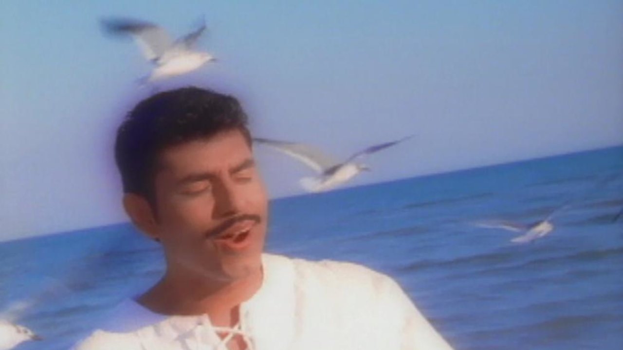 Flechazo (Video Version)
