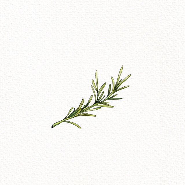 Rosemary
