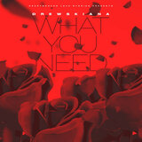 What You Need (Super Sped Up)
