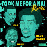 Took Me For A Nai (Remix)