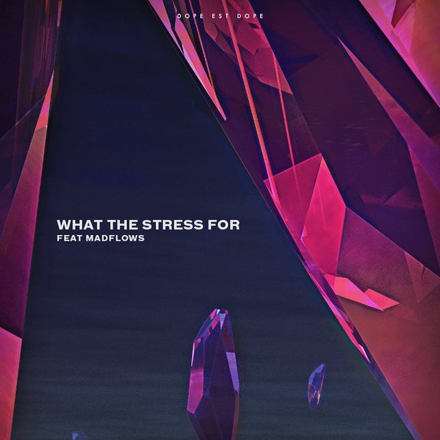 What the Stress For