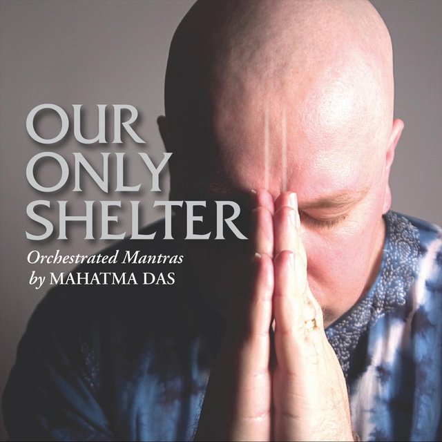 Our Only Shelter