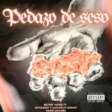 Pedazo de Seso