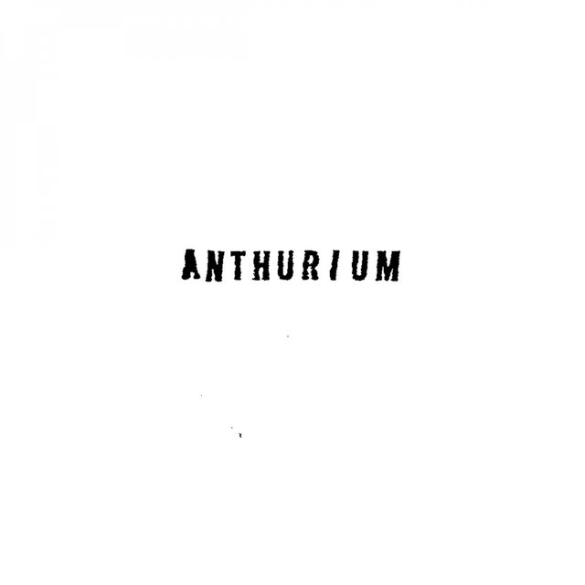 Anthurium