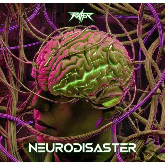 Neurodisaster