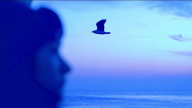 Flying in The Wind