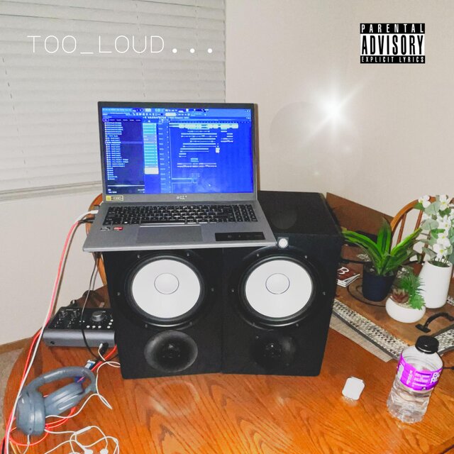 TOO_LOUD
