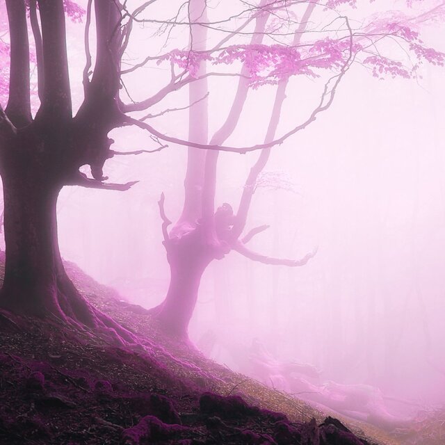 AWAKE(LONELY)