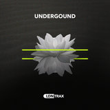 Organic (James D Remix)