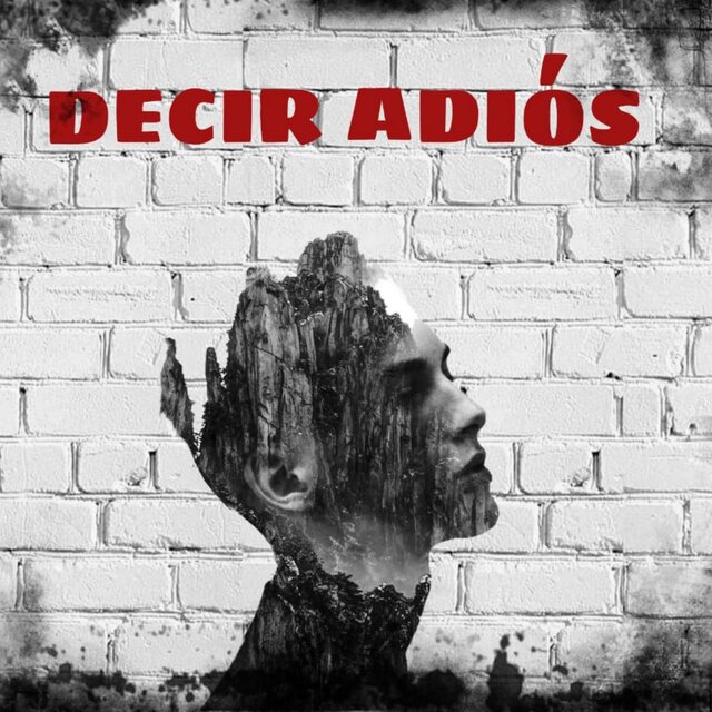 Decir Adiós