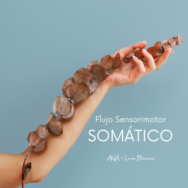 Flujo Sensorimotor Somático