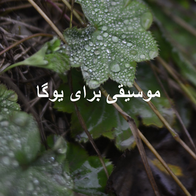 موسیقی برای یوگا