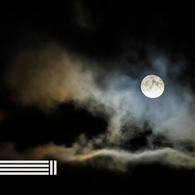 Sonidos De Una Noche Tranquila