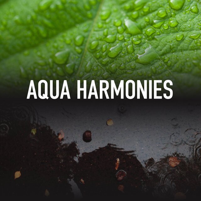 Aqua Harmonies