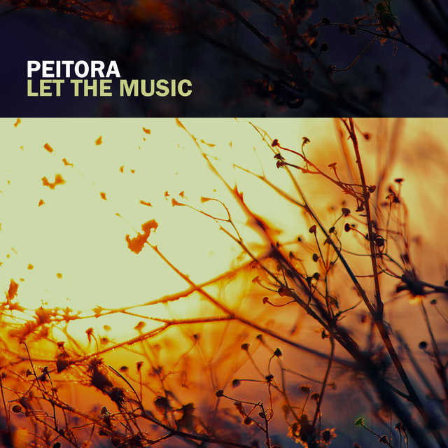 Let The Music