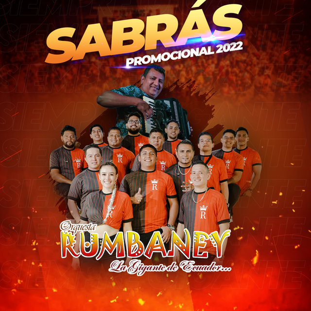 Sabrás (Cover)